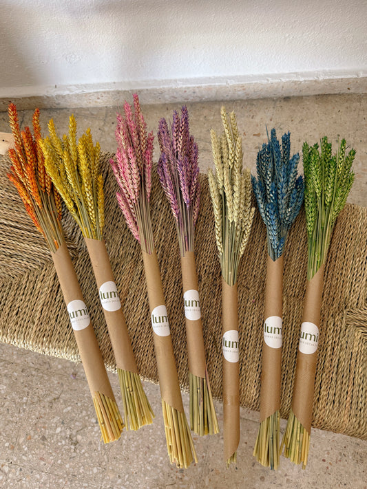 Trigo Flores Secas