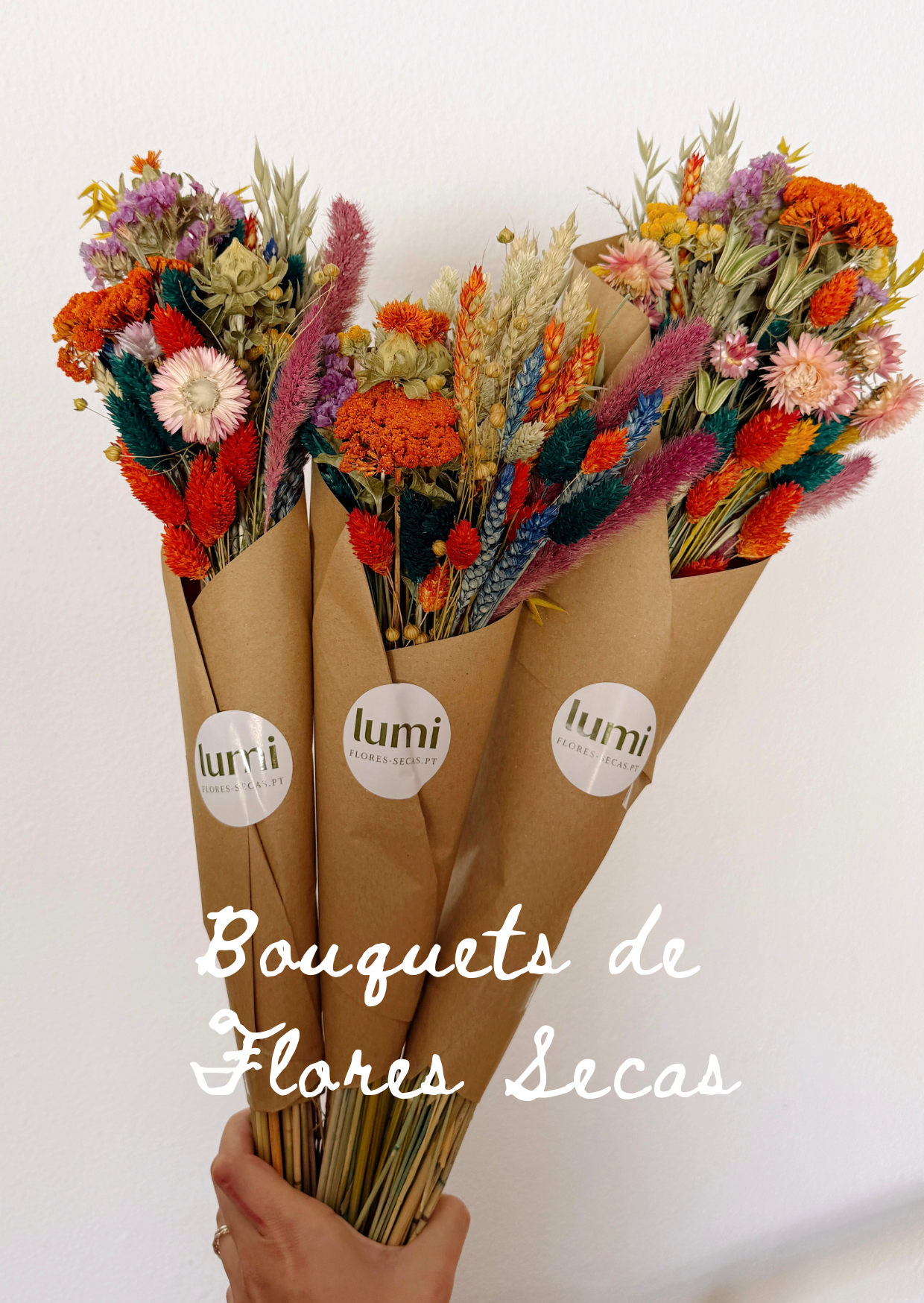 Bouquets de Flores Secas