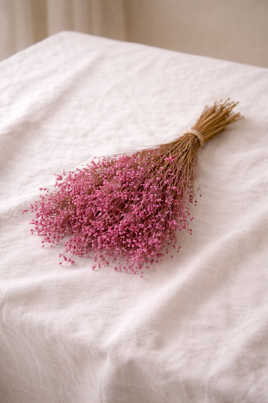 Broom Bloom Flores Secas