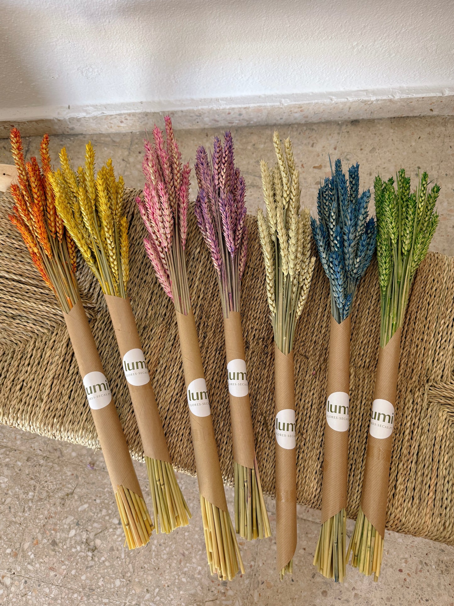 Trigo Flores Secas