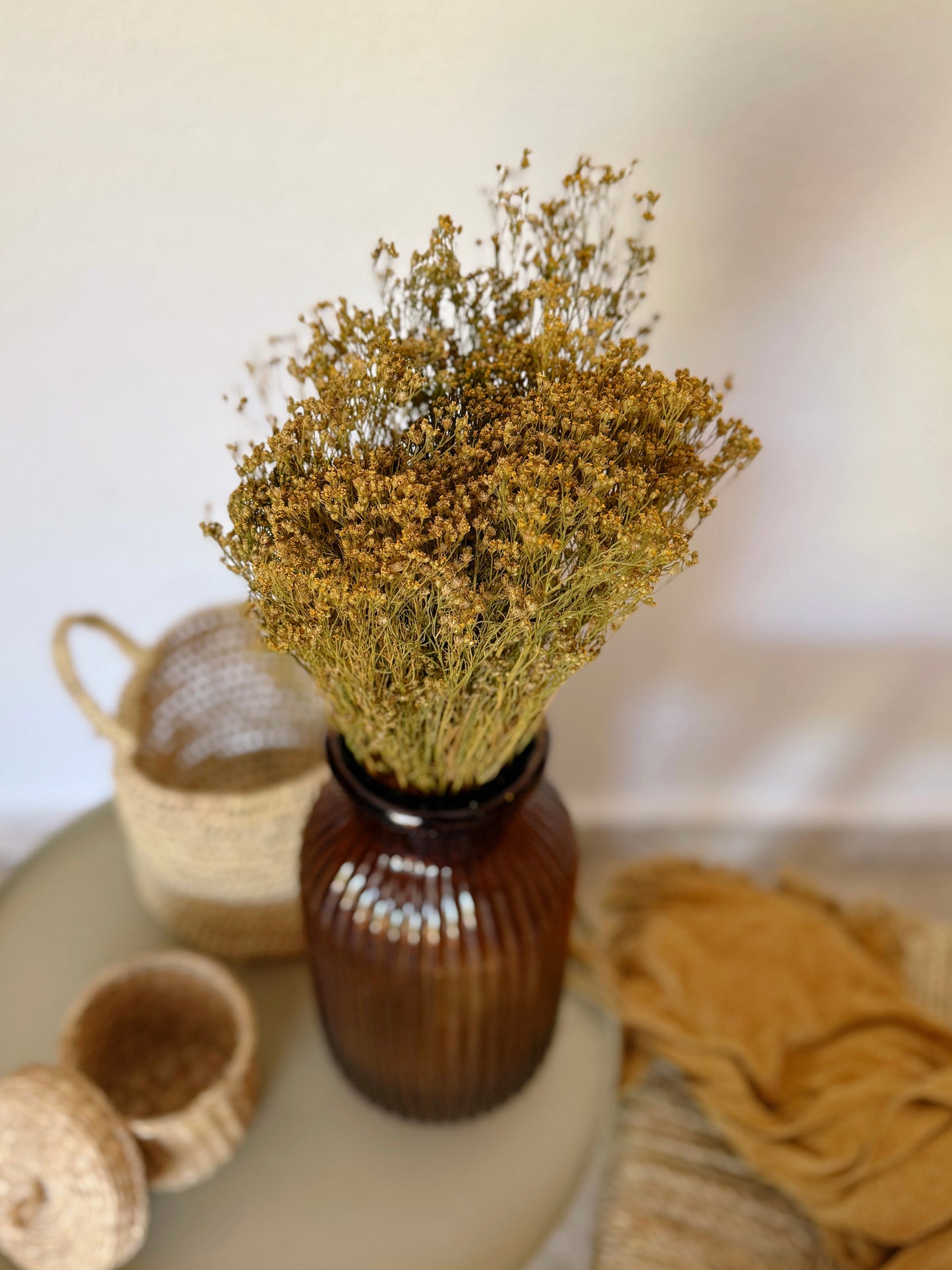 Broom Bloom Flores Secas