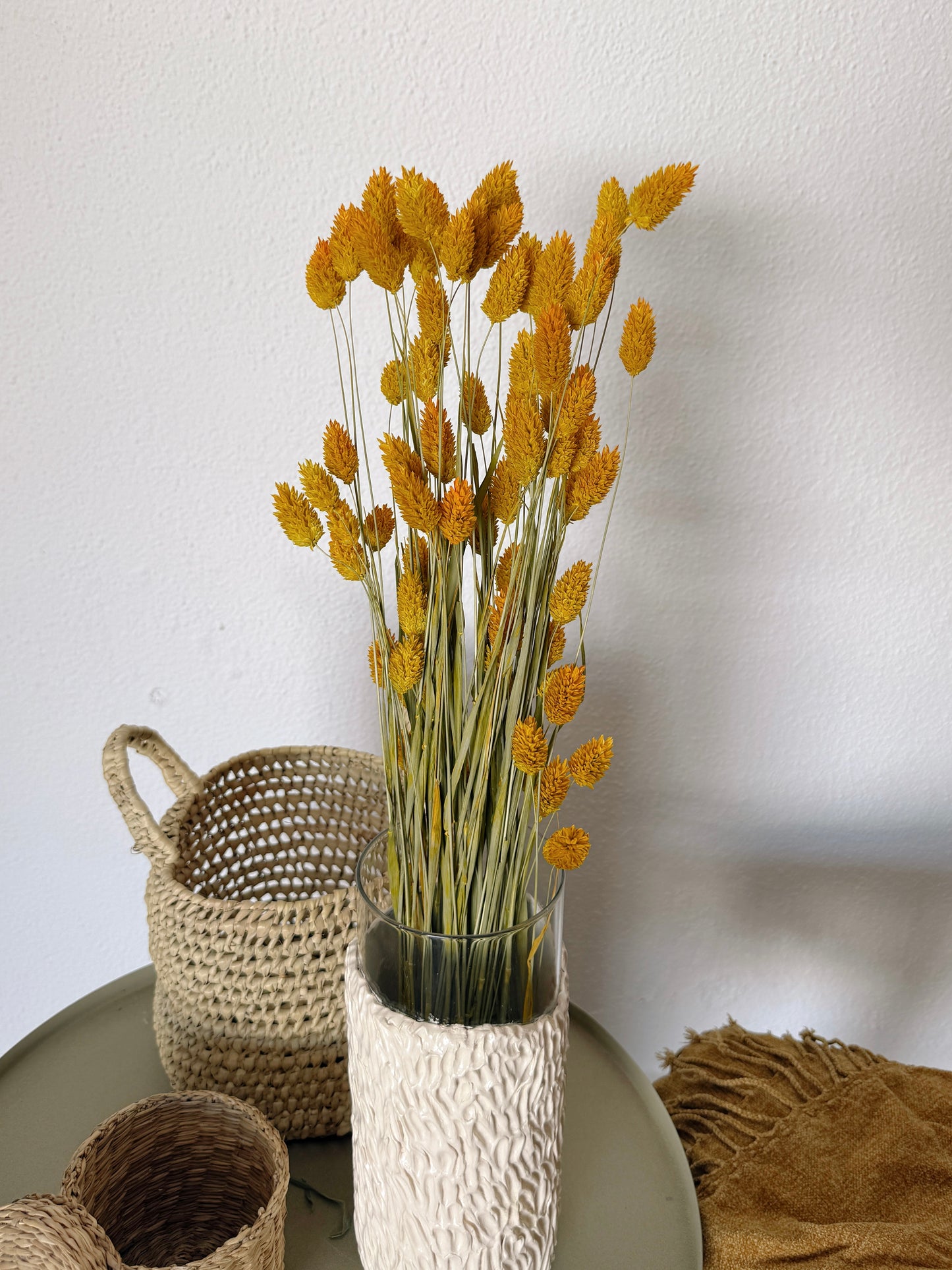 Phalaris Flores Secas