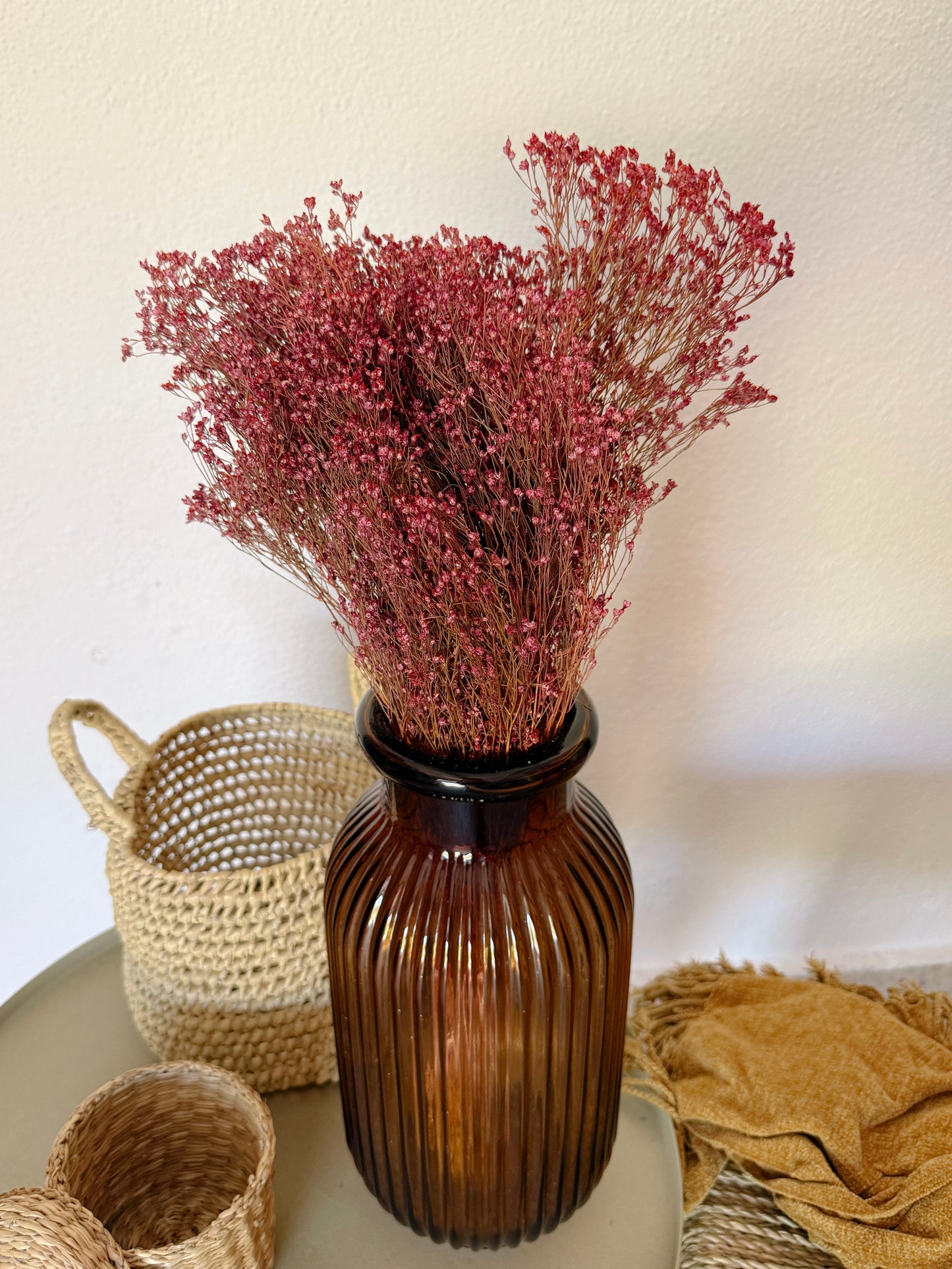 Broom Bloom Flores Secas