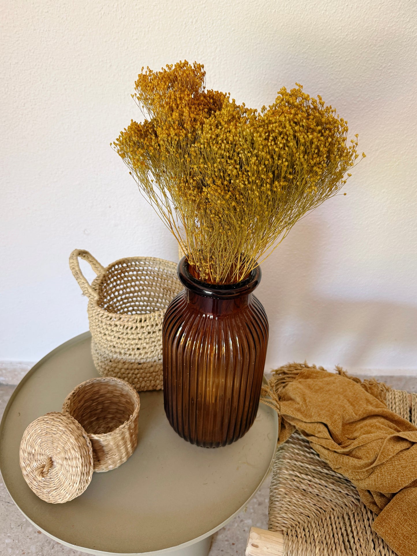 Broom Bloom Flores Secas
