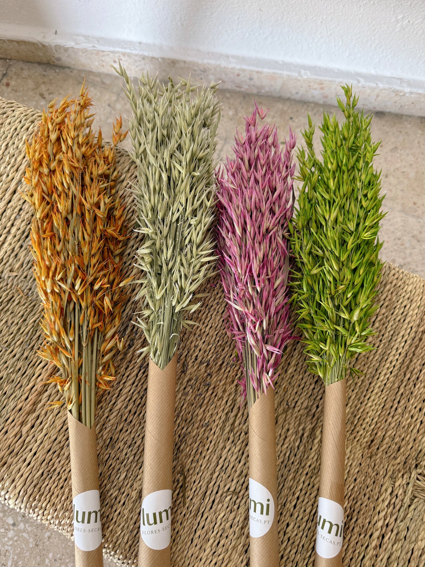 Avena Flores Secas