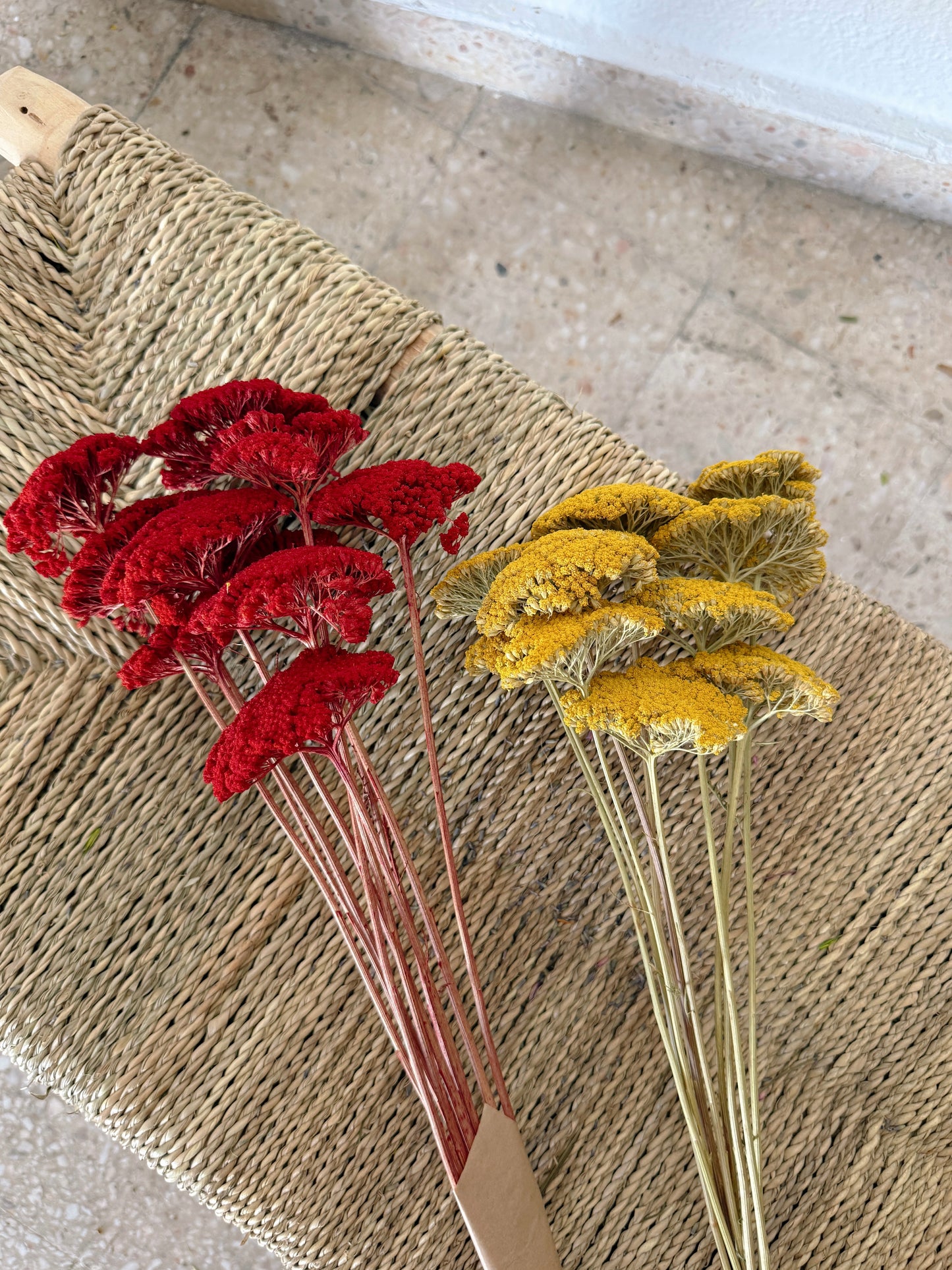 Achillea Parker Flores Secas