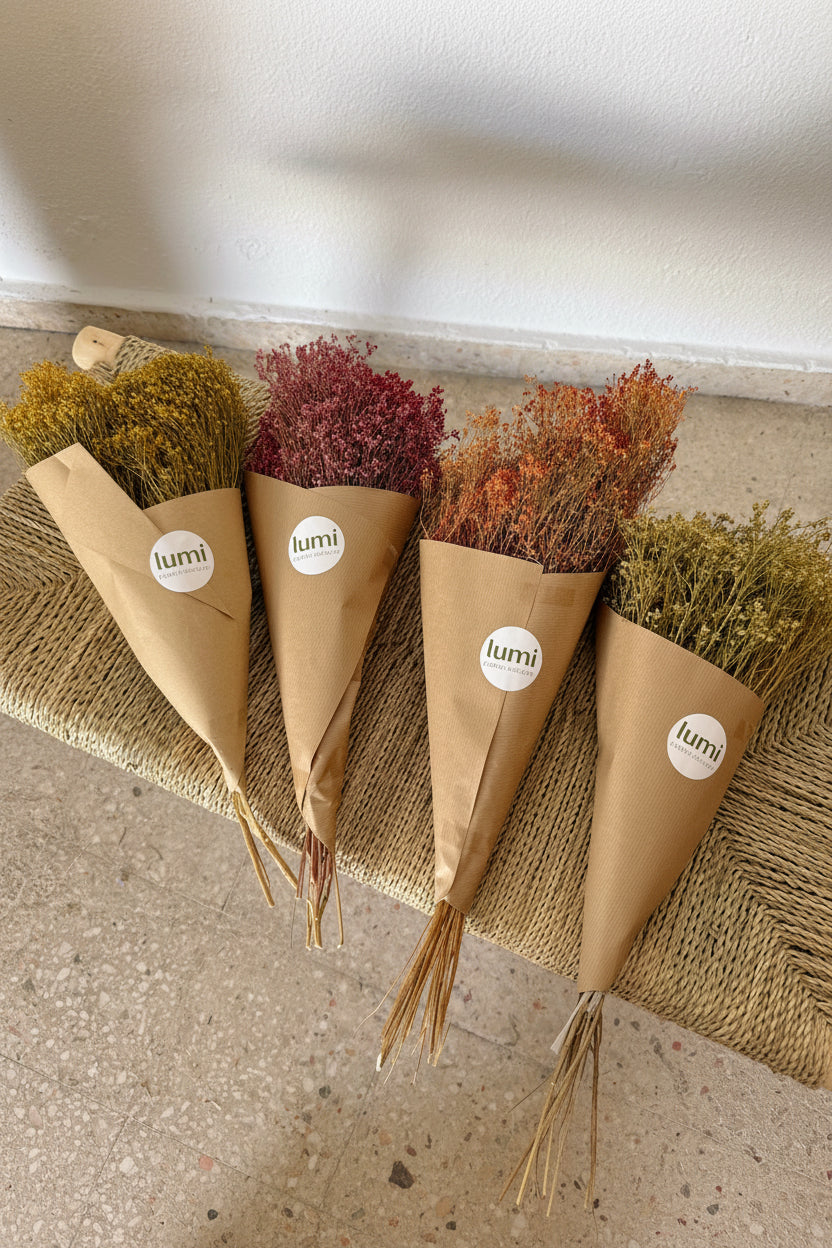 Broom Bloom Flores Secas