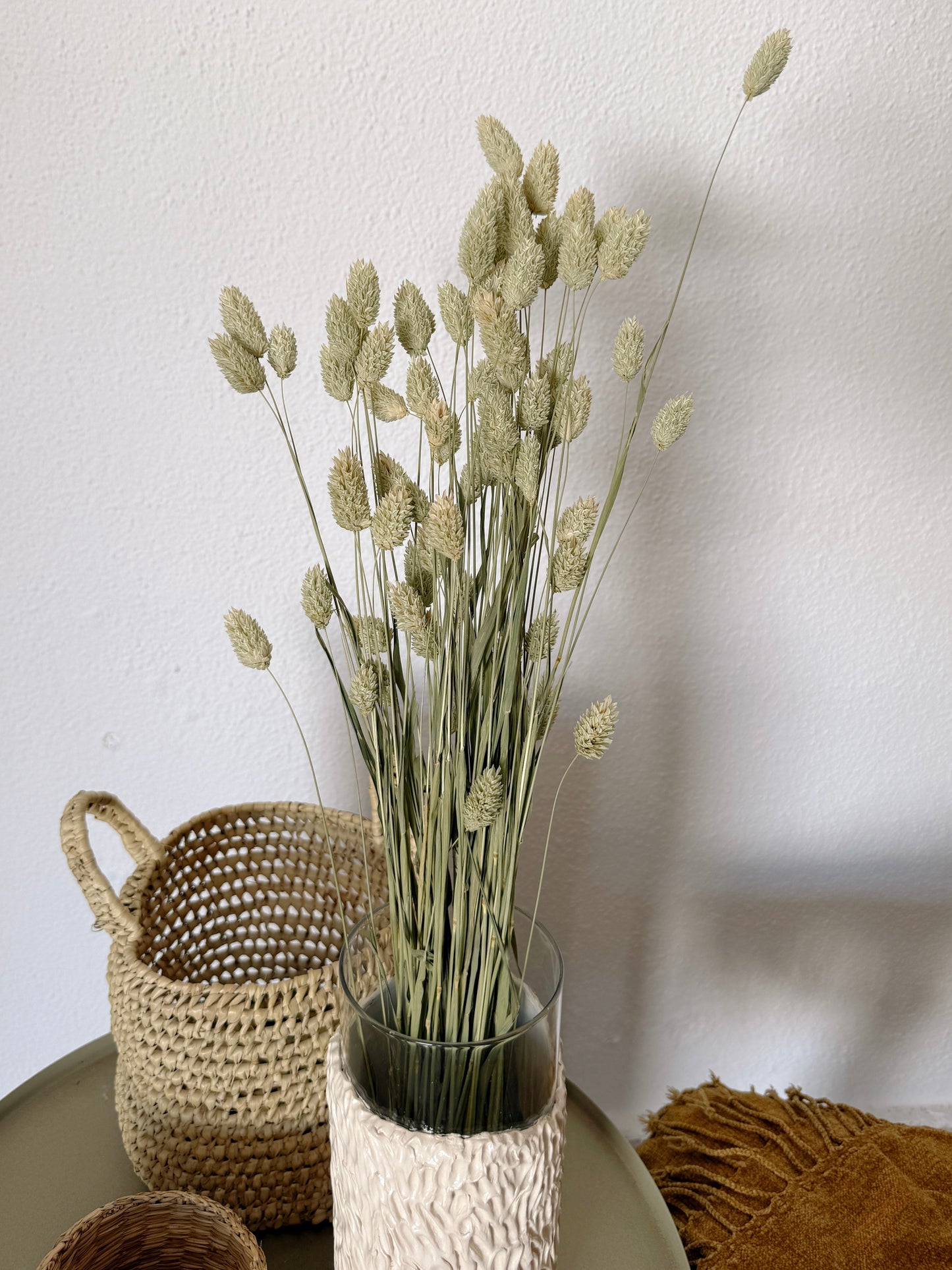 Phalaris Flores Secas