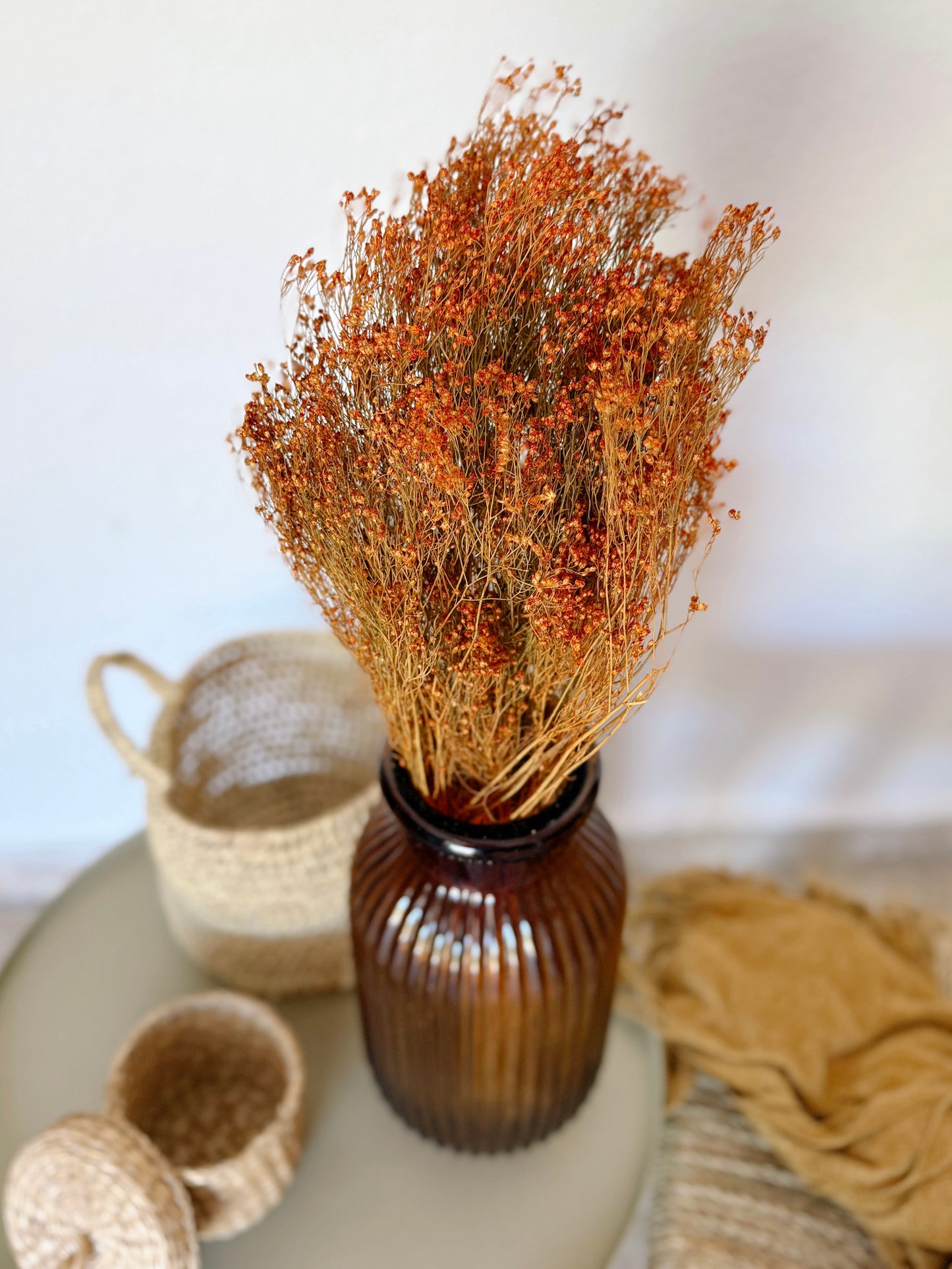 Broom Bloom Flores Secas