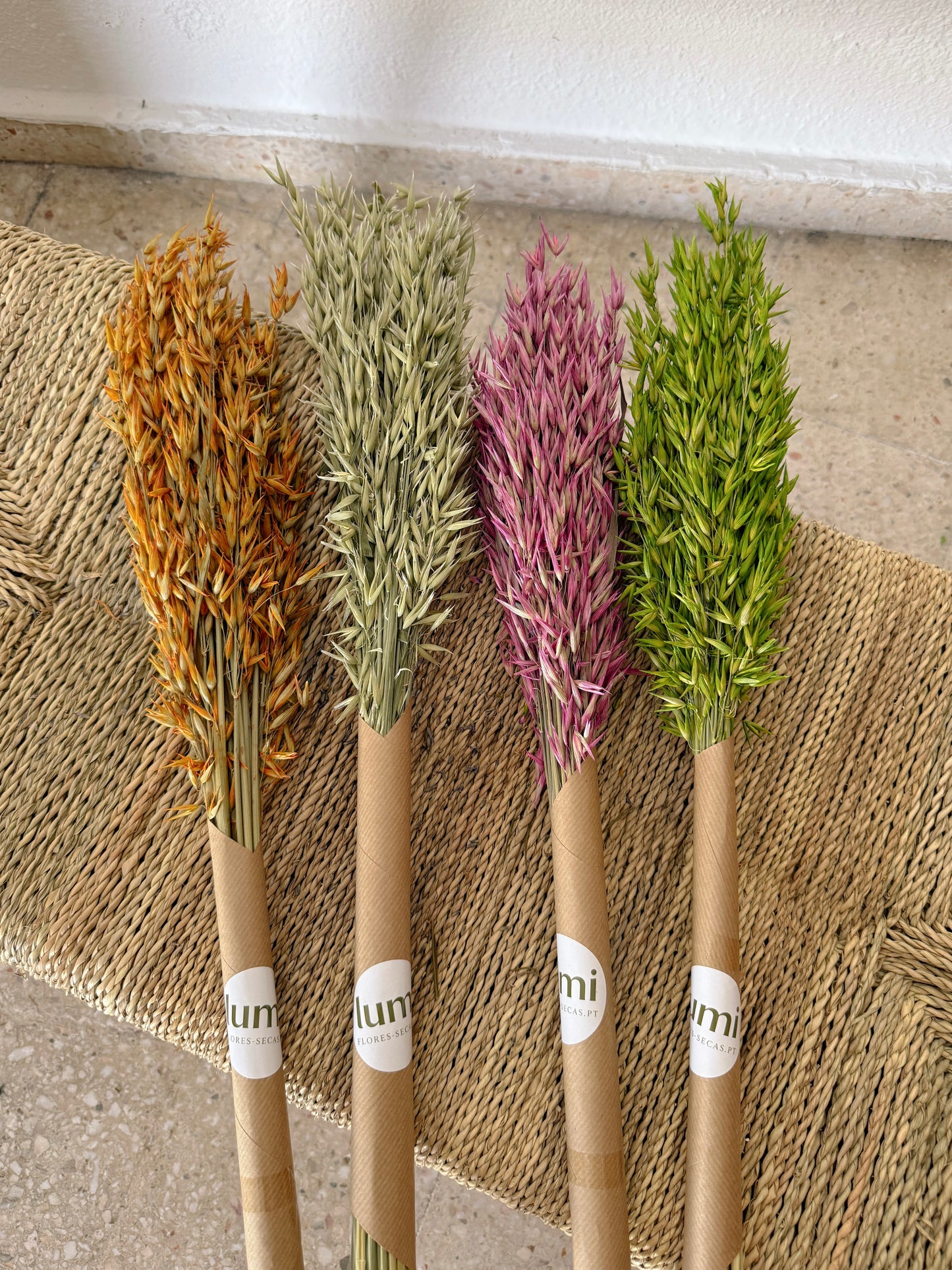 Avena Flores Secas