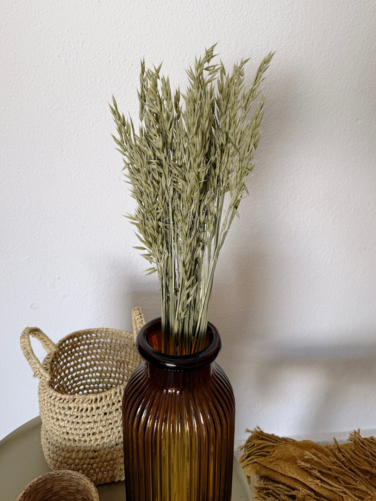 Avena Flores Secas